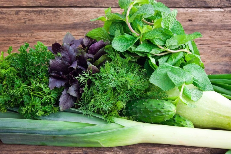 Зелёные листовые овощи - суперфуд